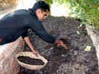 Vermi-Compost Making
