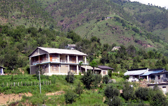 Nagwain